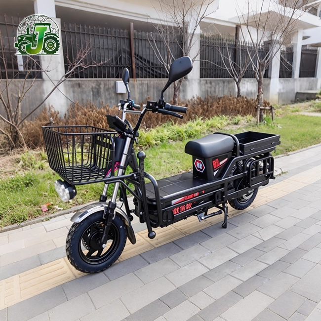 Heavy-Duty Two-Wheel Electric Cargo Vehicle
